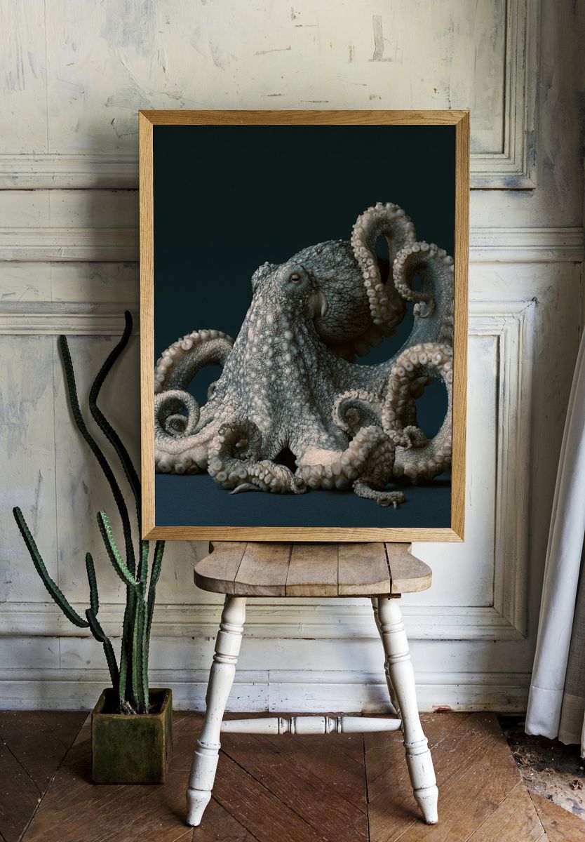 Octopus Portrait Illustration Poster. — room view 1
