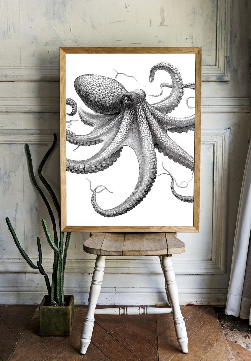 Octopus Ink Illustration Poster. — room view 1