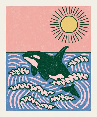Orca in Waves Illustration Poster. poster