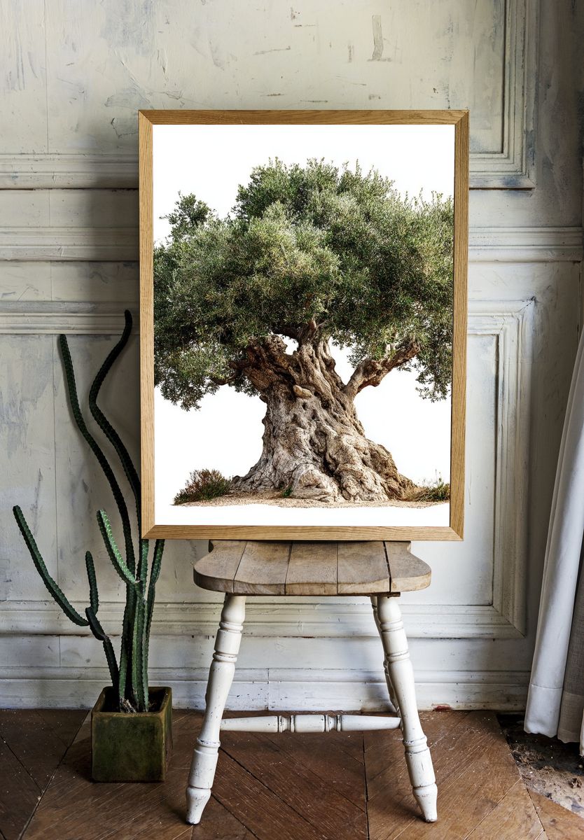 Olive Tree — Nature Print room preview