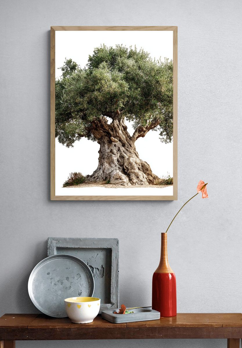Olive Tree — Nature Print. — room view 3