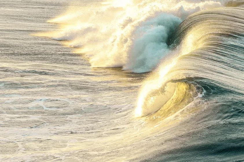 Golden Wave — Nature Print. poster detail