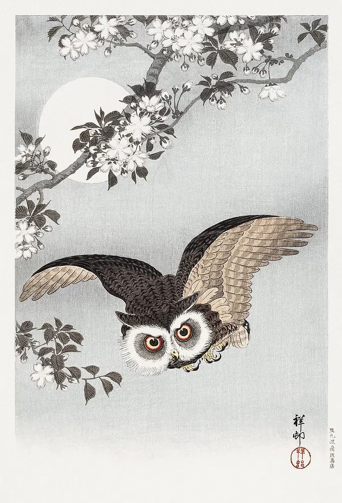 Owl in Flight — Japanese Art Print. poster — illustration art