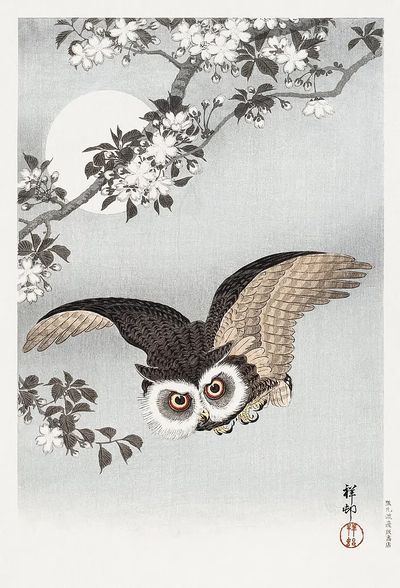 Owl in Flight — Japanese Art Print. poster