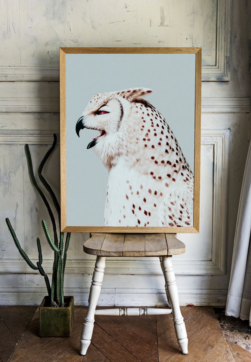 Majestic Owl Portrait Poster. — room view 1