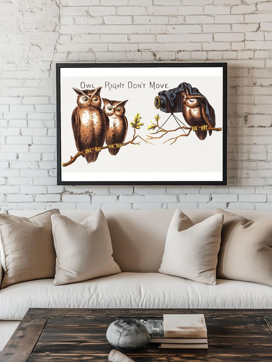 Owl Photography — Funny Print room preview