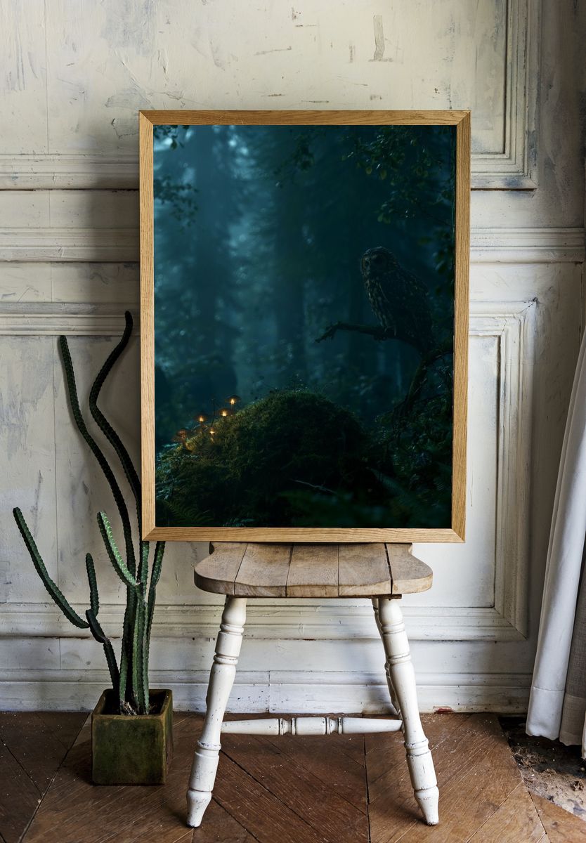 Owl in Misty Forest Poster. — room view 1