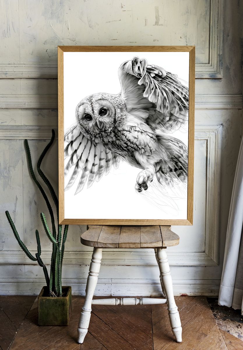 Flying Owl Ink Illustration Poster. — room view 1