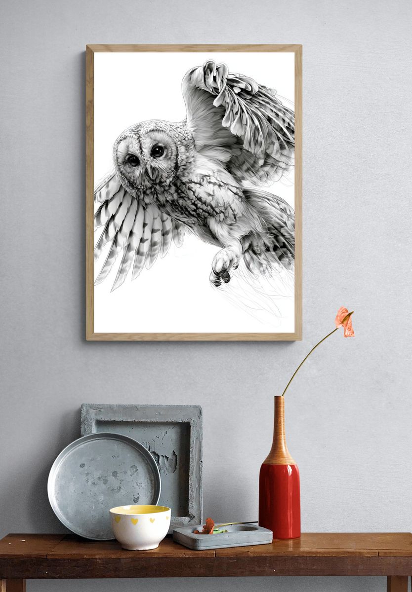 Flying Owl Ink Illustration Poster. — room view 3