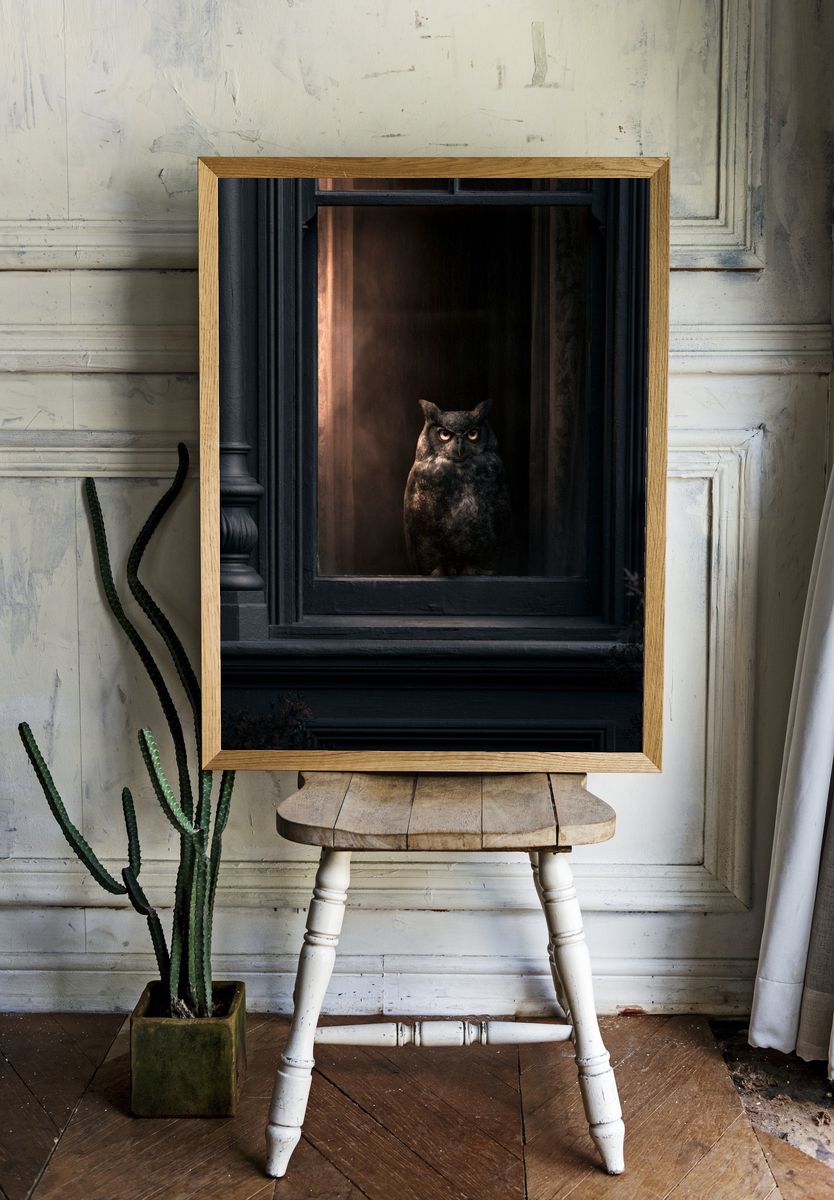 Owl in Window Photography Poster. — room view 1