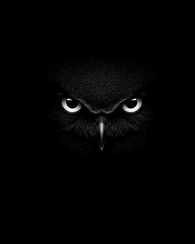 Owl Eyes Dark Wildlife Poster. poster