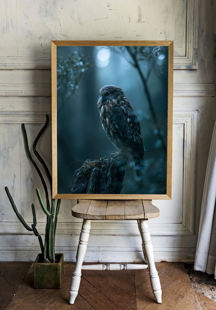 Owl in Moonlit Forest Photography Poster. — room view 1