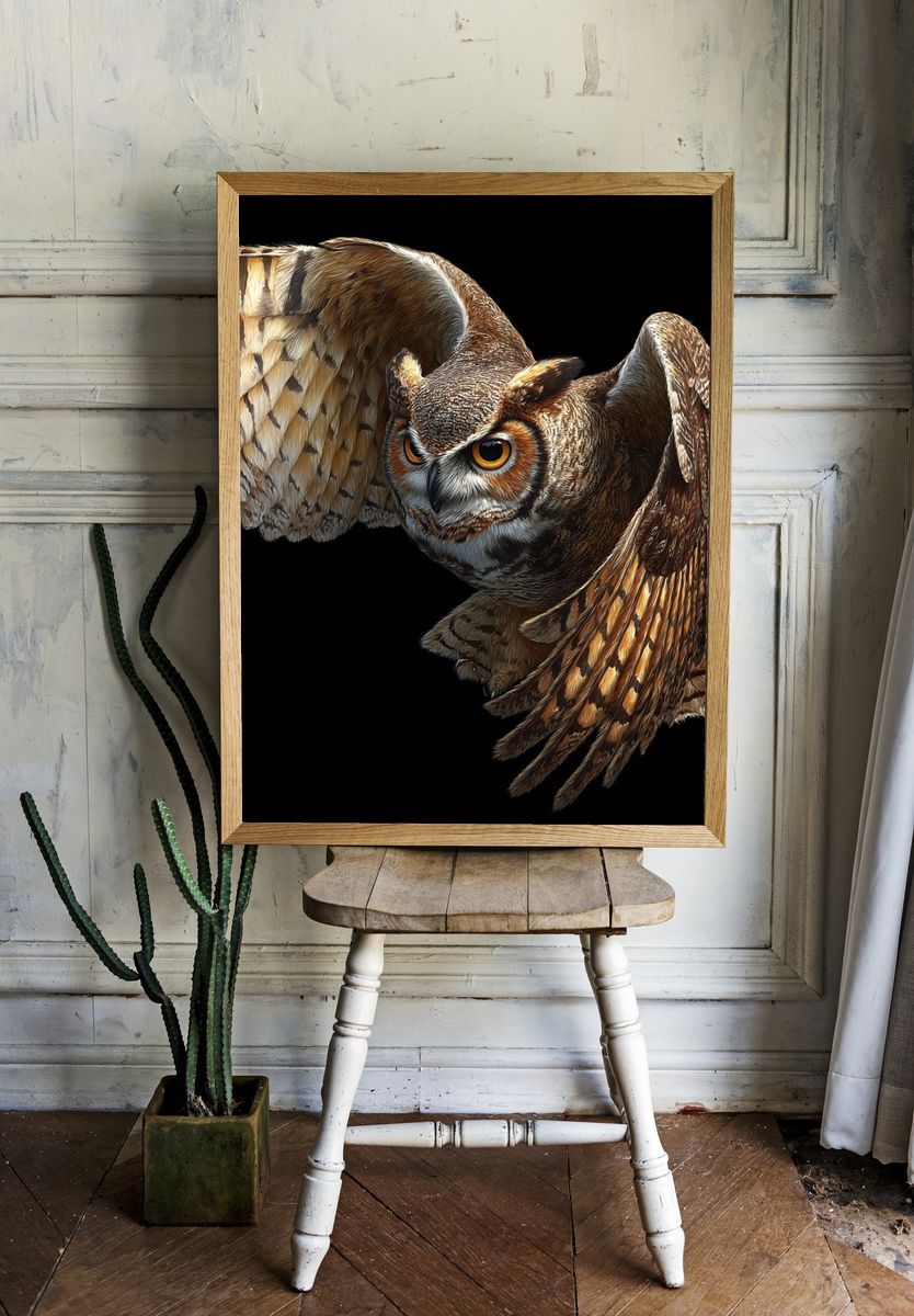 Flying Owl Illustration Poster room preview