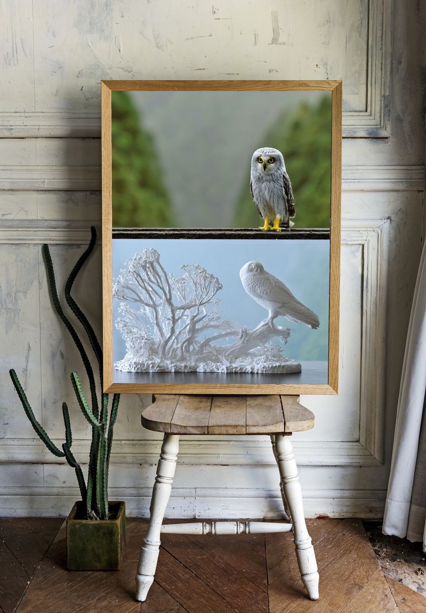 Snowy Owl Nature Photography Poster. — room view 1