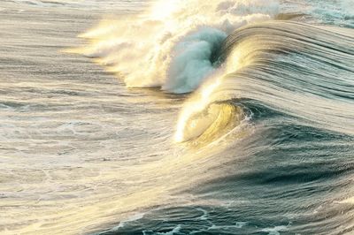 Golden Wave — Ocean Photography Poster. poster print