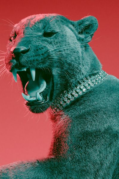 Neon Panther Portrait Print. poster