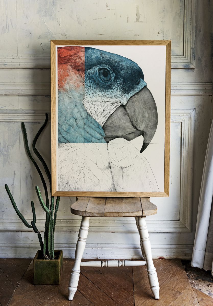 Parrot Portrait Illustration Poster. — room view 1