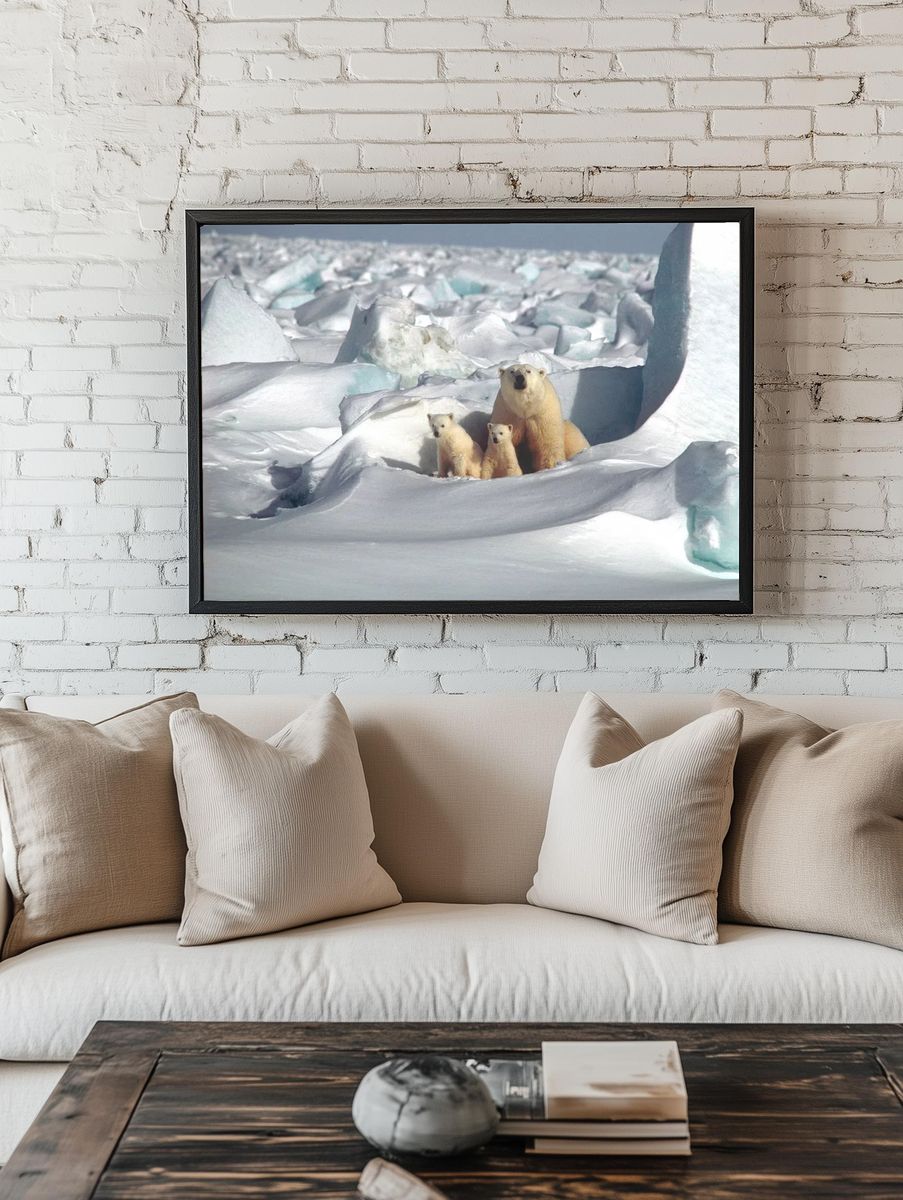 Polar Bears in Snowy Landscape Poster. room preview