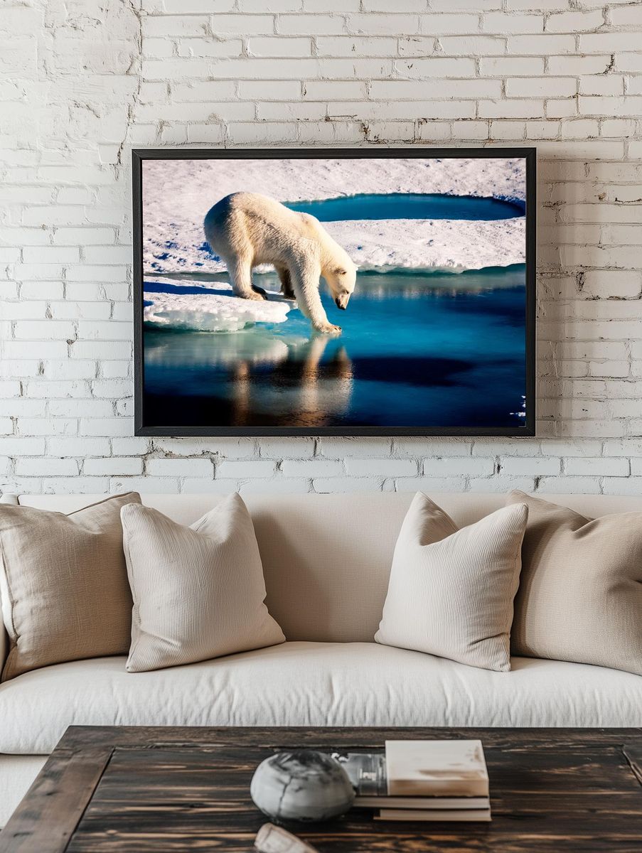 Polar bear Arctic. Original NASA. — room view 1