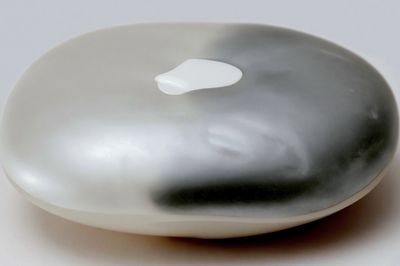 Smooth Pebble Still Life Print. poster