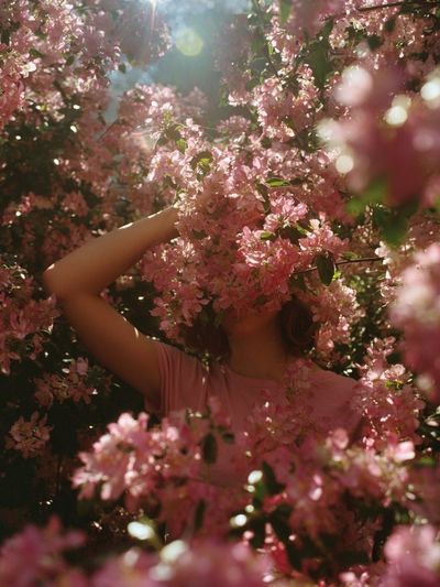 Pink Blossom Portrait Photography Poster. poster