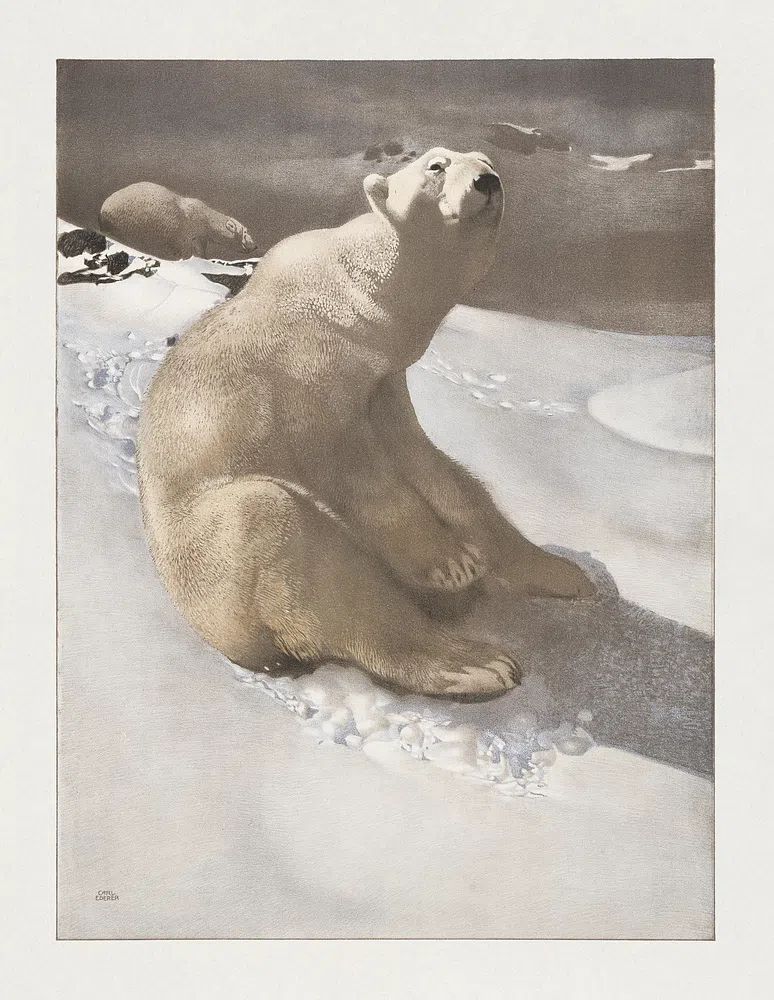 Polar Bear in Snow — Fine Art Print. poster detail