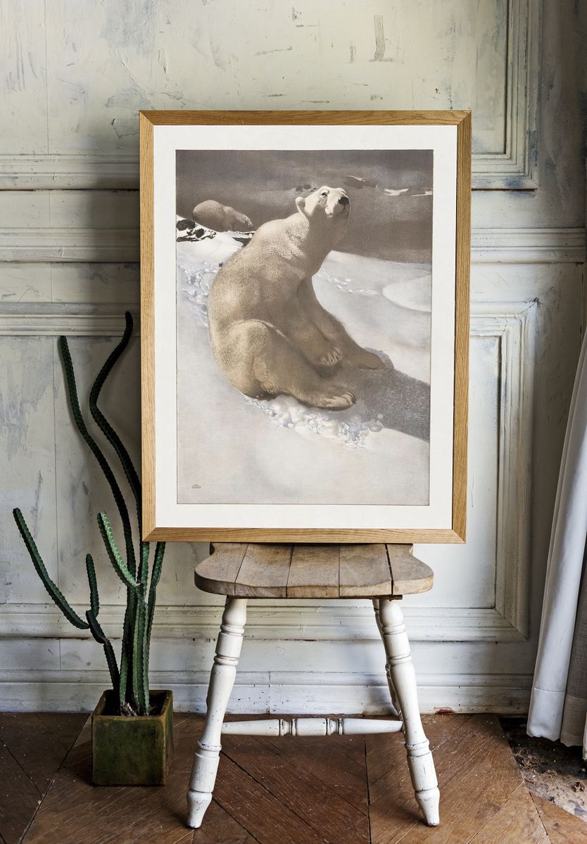 Polar Bear in Snow — Fine Art Print room preview