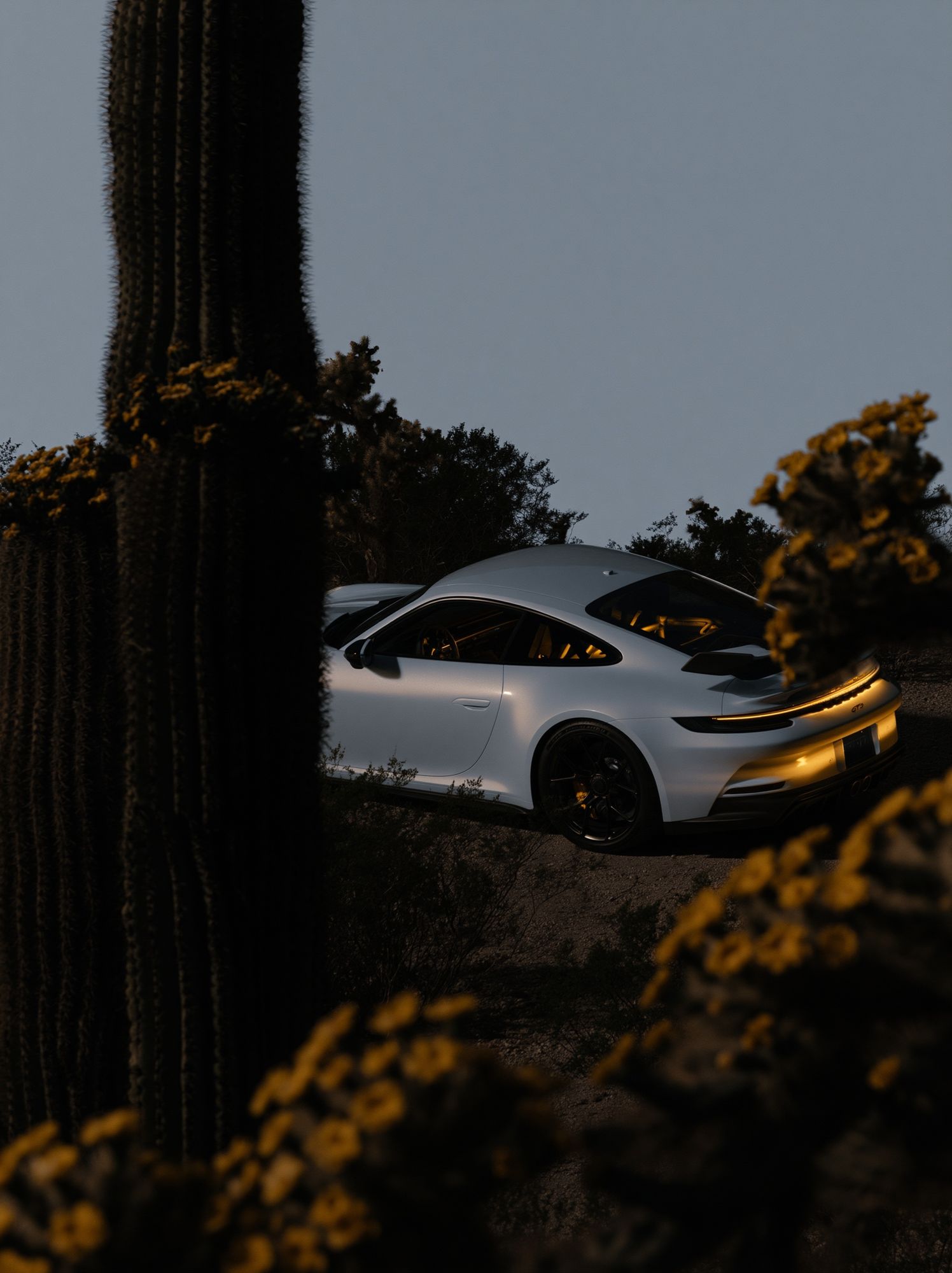 Desert Porsche 911 GT3 Photography Poster. poster — photography art