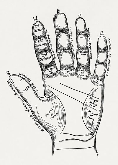 Palmistry Hand Chart — Vintage Print. poster print