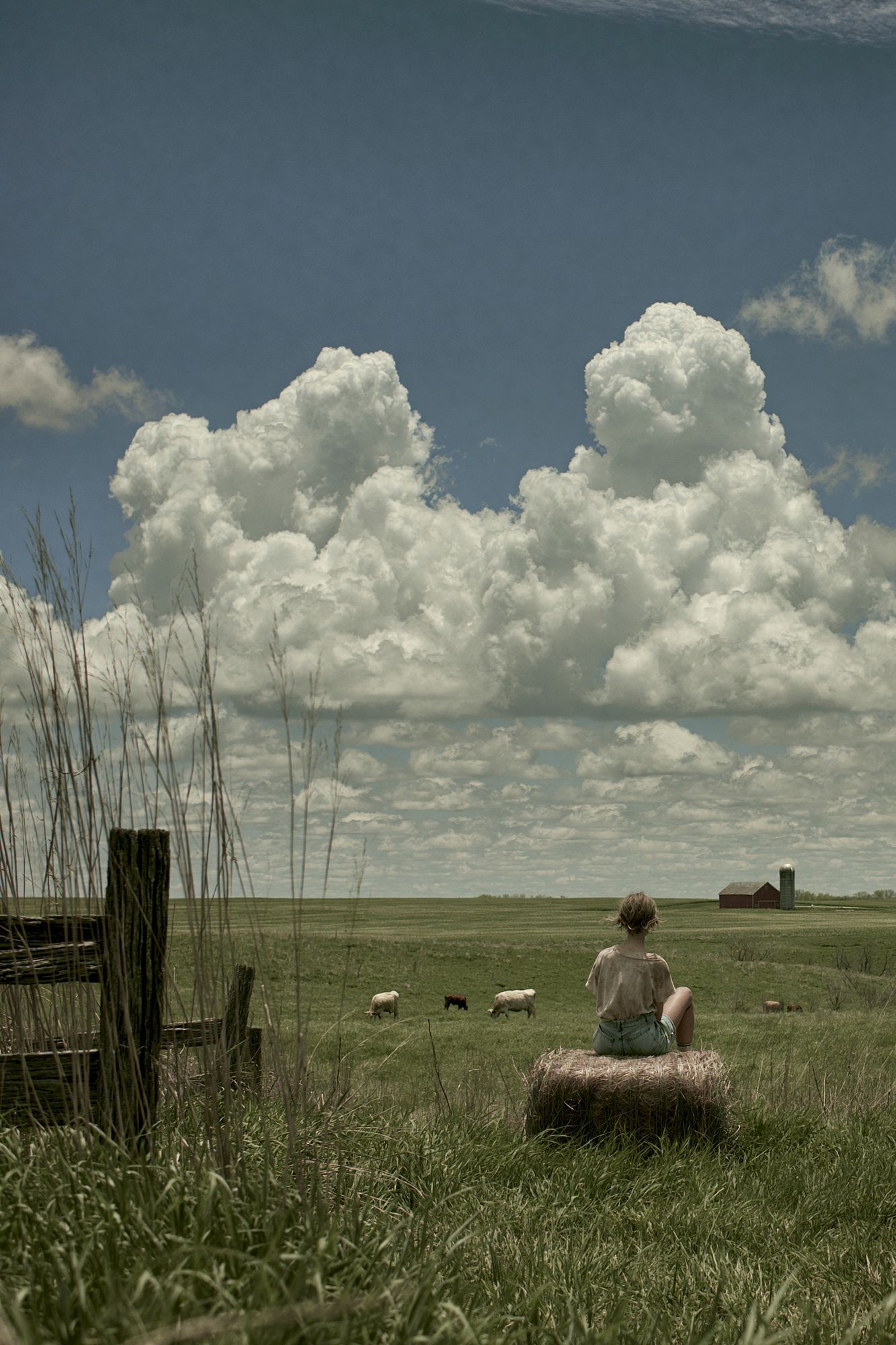 Pastoral Cloudscape Photography Poster. poster detail