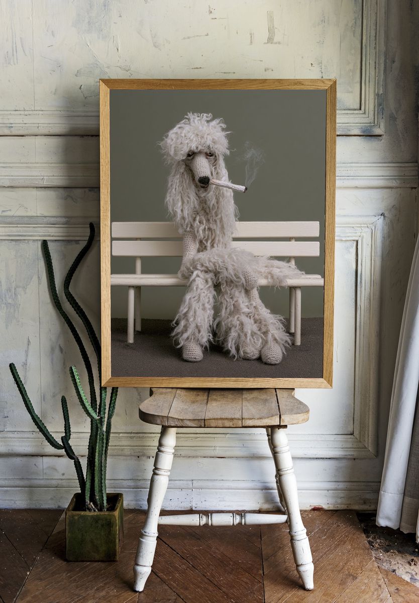 Poodle on Bench Photography Poster. — room view 1