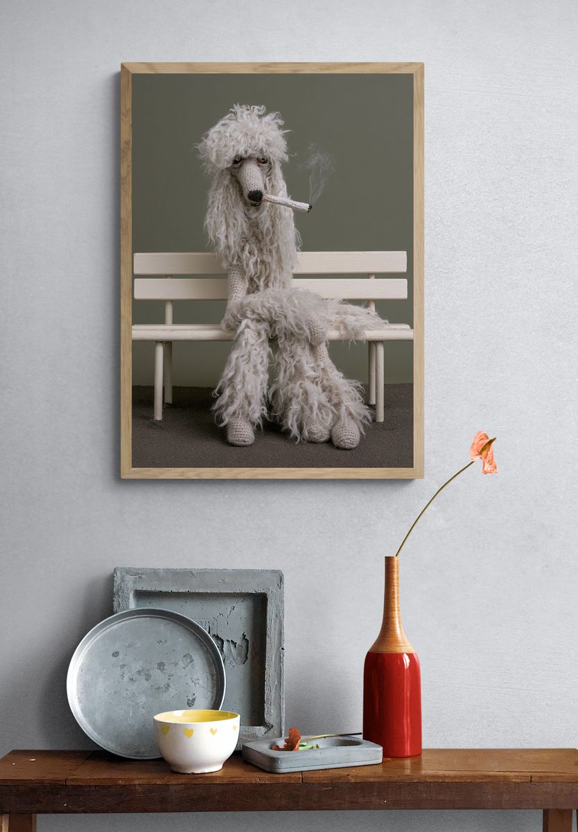 Poodle on Bench Photography Poster. — room view 3