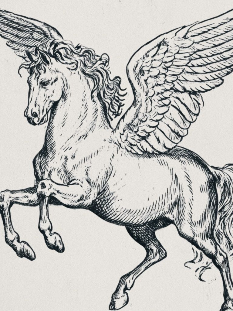 Winged Pegasus Ink Print. poster detail