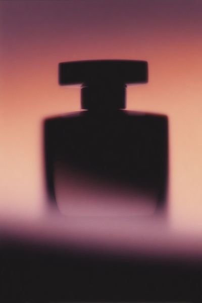 Abstract Perfume Bottle Poster. poster print