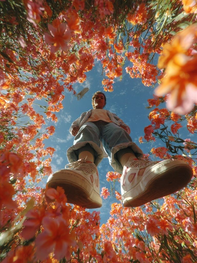 Person in Flower Field — Photography Print. poster detail