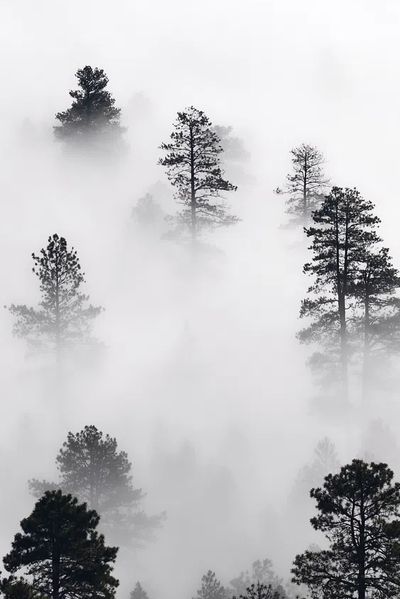 iPhone wallpaper winter landscape background. poster