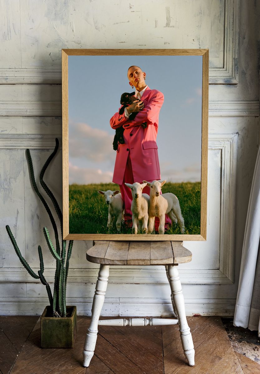 Pink Suit with Lambs Photography Poster. — room view 1