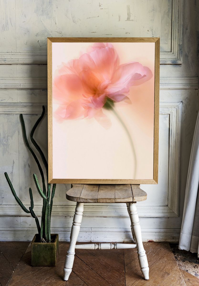 Soft Pink Blossom Photography Poster. — room view 1