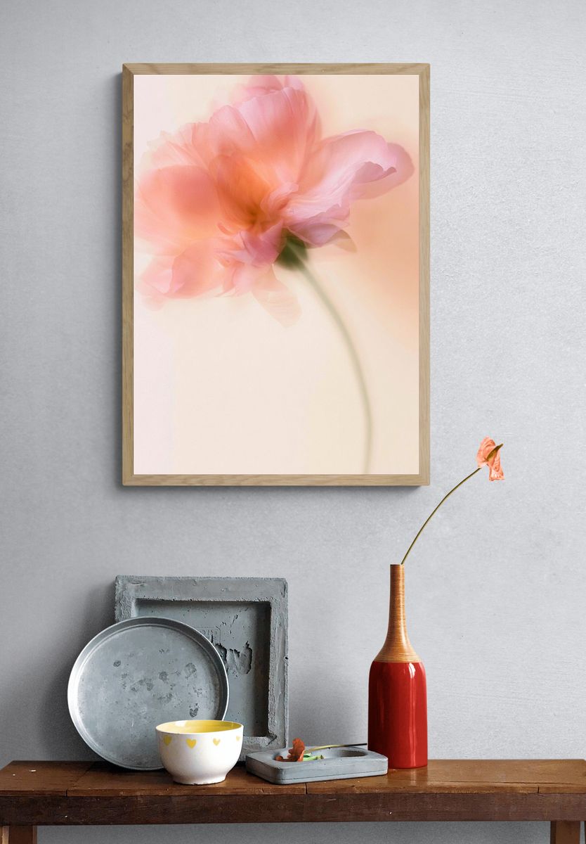 Soft Pink Blossom Photography Poster. — room view 3