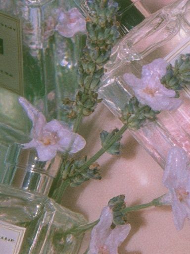 Pastel Perfume Bottles Photography Poster. poster — photography art