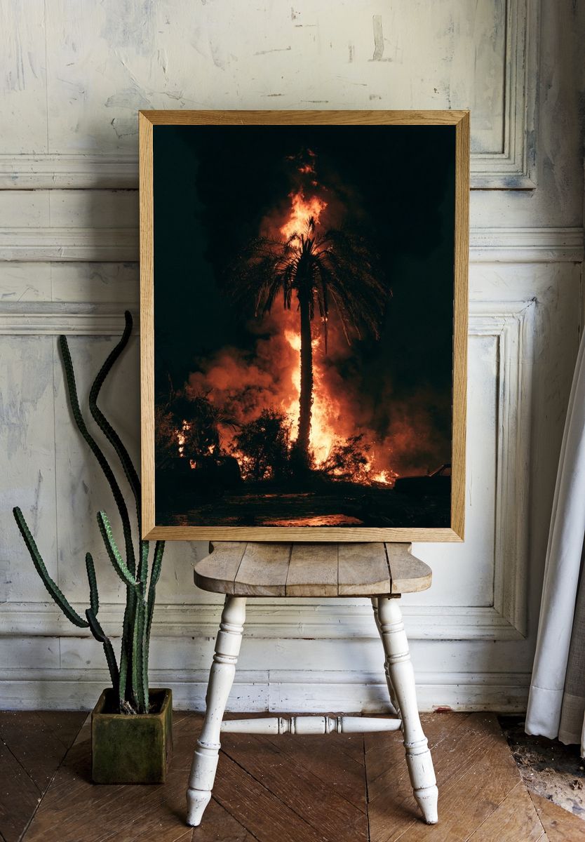 Palm Tree Fire Night Photography Poster. — room view 1