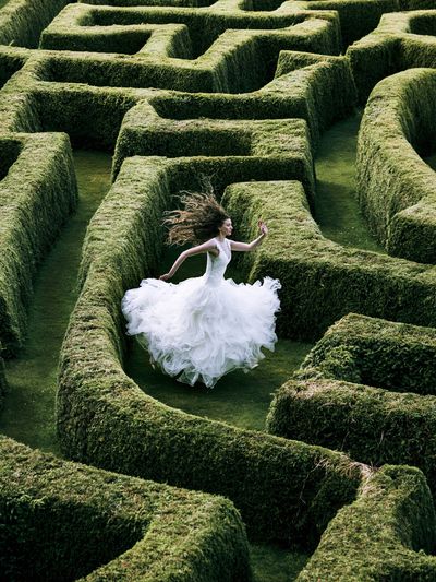 Bride in Hedge Maze Photography Poster. poster print