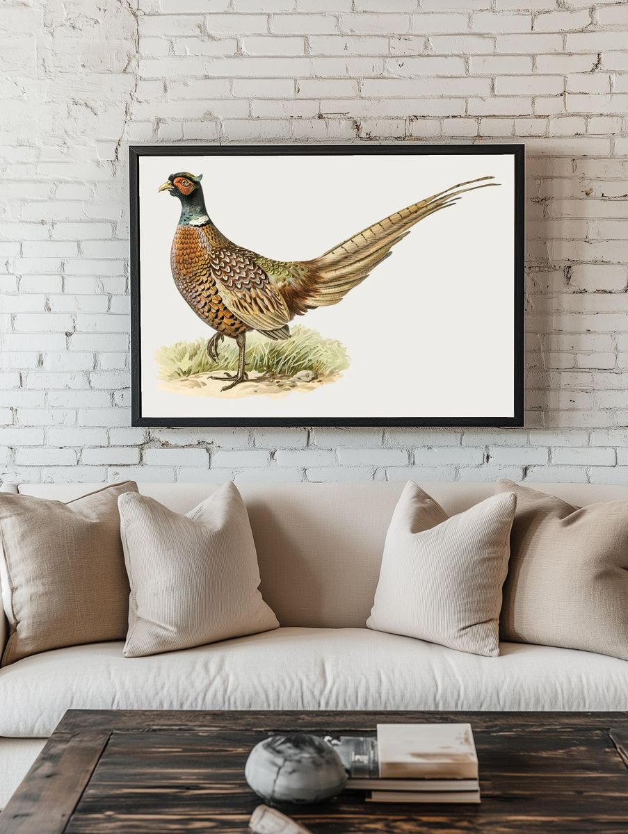 Colorful Pheasant Illustration Poster. room preview