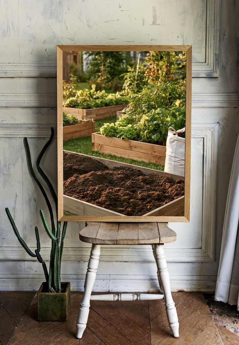 Sunlit Garden Beds Photography Poster. — room view 1
