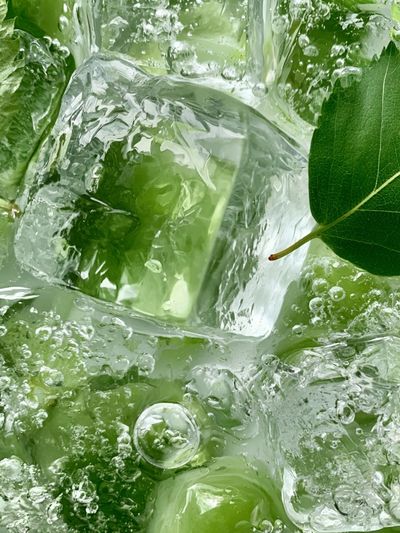 Green Ice Leaves Photography Poster.