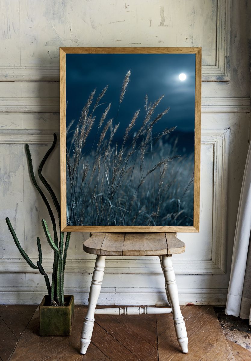 Moonlit Grass Field Photography Poster. — room view 1