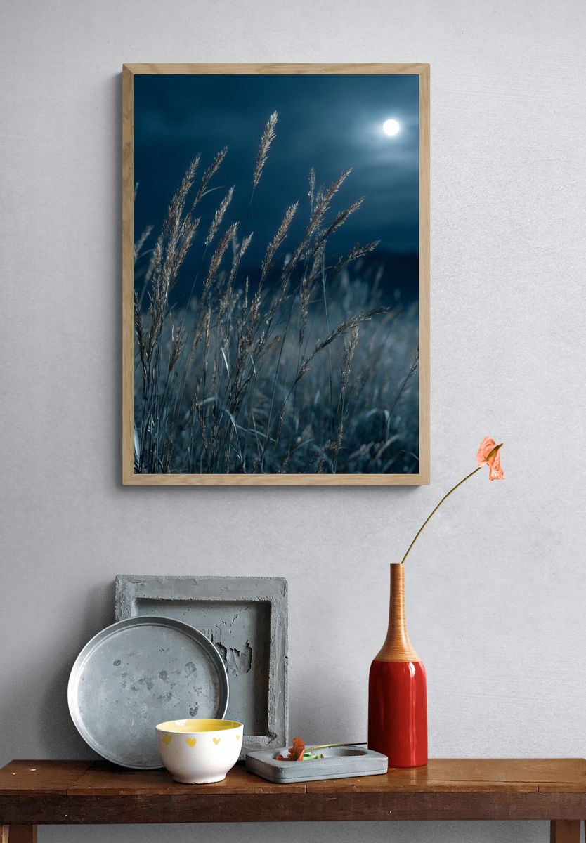 Moonlit Grass Field Photography Poster. — room view 3