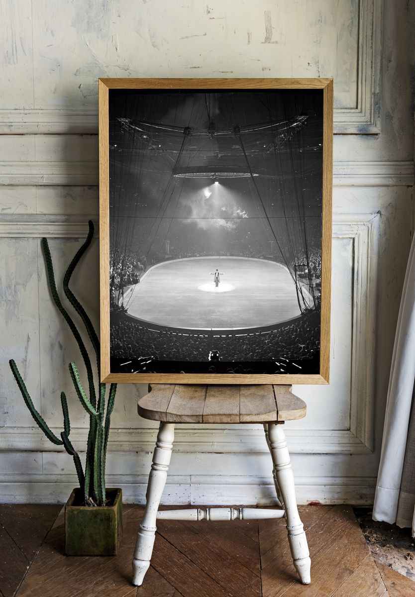 Circus Ring Spotlight Photography Poster. room preview
