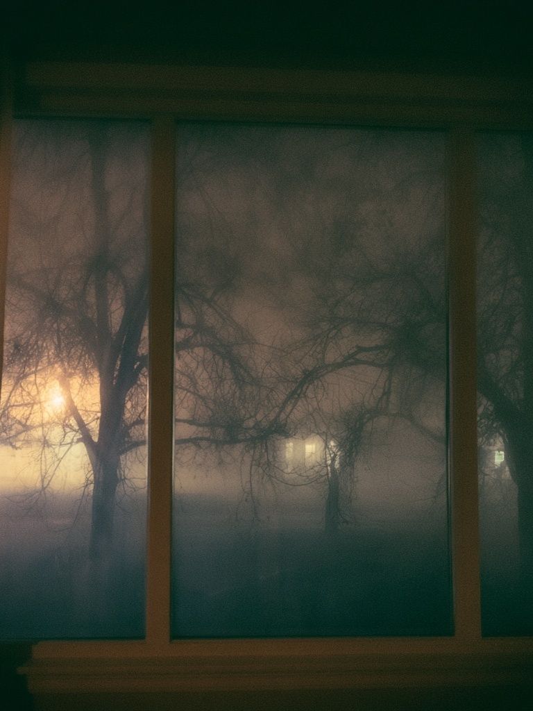 Foggy Trees at Dusk Photography Poster. poster — photography art