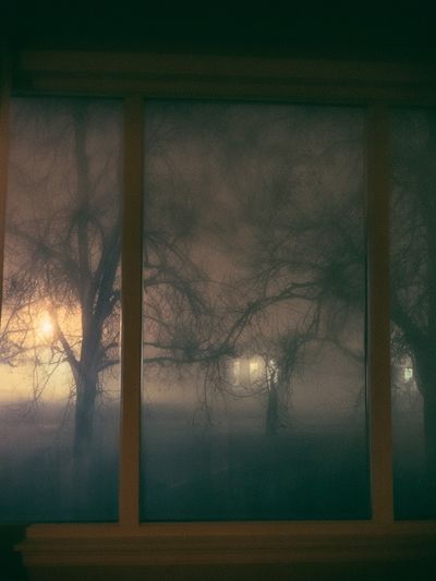 Foggy Trees at Dusk Photography Poster. poster print